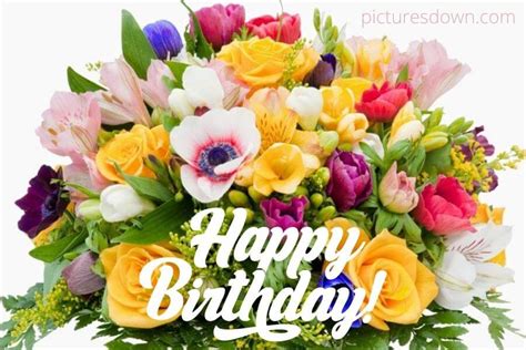 happy birthday bild blumen|Happy Birthday Blumen